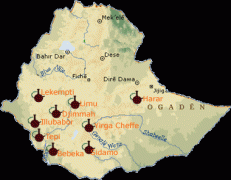 Ethiopia Washed Yirgacheffe G1 Shakisso Premium Coffee Beans Origin Development History and Culture Introduction