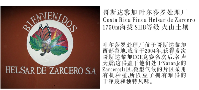 Costa Rican Coffee from Helsar de Zarcero Processing Plant