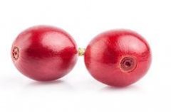 El Salvador Himalaya Estate Semi-Dry Red Bourbon Premium Coffee Beans Variety, Cultivation, and Market Price Overview