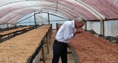 Pour-Over Parameter Recommendations for Colombia Santa Rita Washed Specialty Coffee Beans