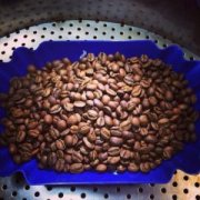 The Story and Origins of Costa Rican Natural Process Vuelta Sachi Specialty Coffee Beans from Tank Estate