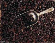 Brazil Mogiana Queen Estate Natural Process COE Premium Coffee Beans: Grading, Pricing, Green Beans and Roasting