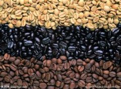 Differences, Distinctions, and Award Status of Brazil Mogiana Queen Farm Natural COE Premium Coffee Beans