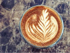 Costa Rica Tarrazu Dota Los Lajones Yellow Honey Process Geisha Flavor Profile, Origin and Brewing Parameters