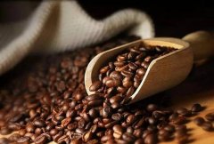 Ethiopia Yirgacheffe Kochere Washed G1 Specialty Coffee Bean Varieties, Brand Recommendations and Estates
