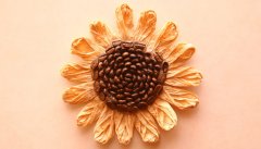 Sidamo Nectar Coffee Bean Characteristics & Sidamo Nectar Coffee Brewing Methods