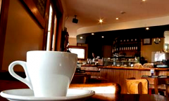 Nicaragua Honey Process Coffee Beans Characteristics & Brewing Methods