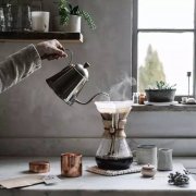 Costa Rica Honey Process Geisha Bean Characteristics and Brewing Methods