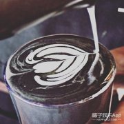 How to Properly Enjoy Santa Rita Coffee Colombia Coffee Bean Prices