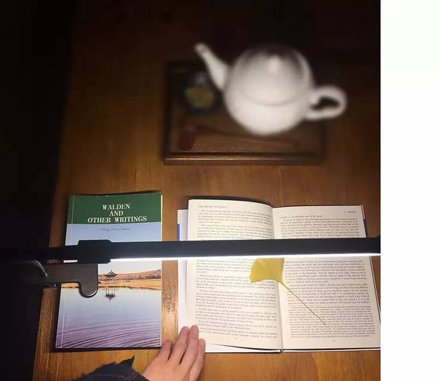 West Java Honey Processing Aromanis Coffee Beans