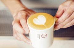 How is the Costa Rican Black Honey Coffee Bean Market? Which Costa Rican Coffee Brand is Best?