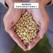 Is Yirgacheffe Washed Eriga Coffee Delicious? Yirgacheffe Coffee Brewing Methods