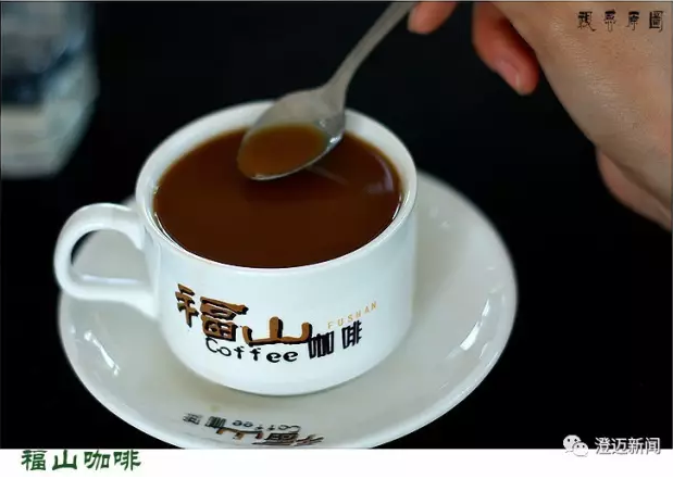 Nicaragua Maragogype Coffee Beans