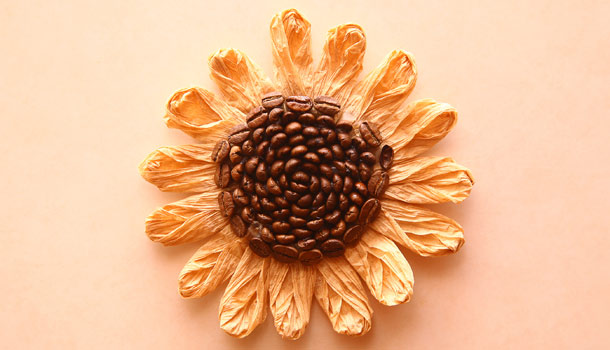 Ethiopian Sidamo Shakisso Washed Coffee