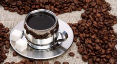 Burundi Coffee Beans Flavor Profile Growing Information Characteristics Regional Distribution