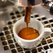 Hartmann Estate Introduction: Processing Methods, Cultivation, and Varieties of Hartmann Coffee Beans