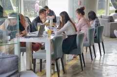 Queen's Estate Yellow Bourbon Coffee Bean Single Origin Growing Information & Flavor Description