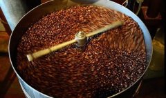 Latisha Estate Single Origin Bean Brewing Suggestions - Cultivation Varieties and Flavor Profile