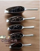 Finca Injerto Single Origin Coffee Beans Flavor Description Growing Varieties Cultivation History Characteristics