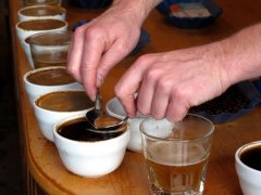 [Coffee Roasting] Roaster Flame and Airflow Control (Part 2) | Coffee Workshop