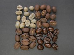 Panama Illeta Estate Single Origin Coffee Beans: Differences, Distinctions, and Awards