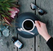 Papua New Guinea Kimel Estate Single-Origin Coffee Varieties, Brand Recommendations, and Estate Introduction