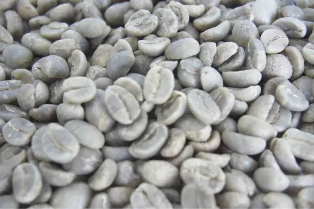 FrontStreet Coffee's Ethiopian YEKI G2 beans showing their characteristic shape and color