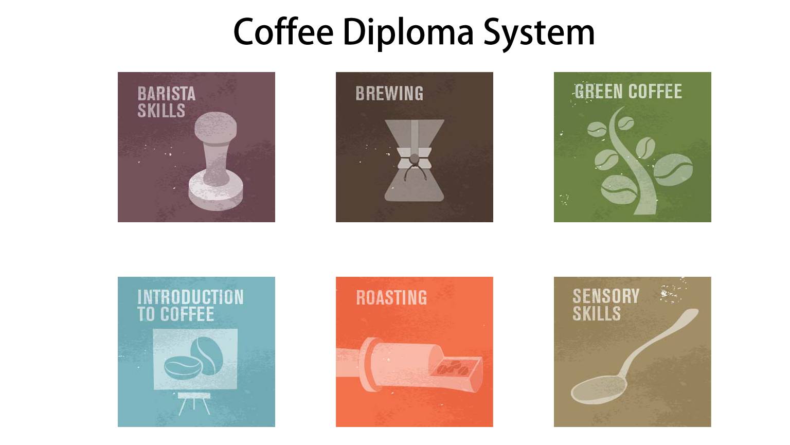 SCA & Q Grader Coffee Certifications: Complete Guide to International Barista Exams and Professional Coffee Credentials