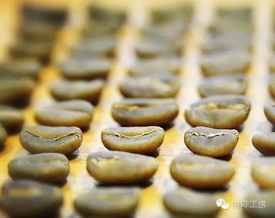 FrontStreet Coffee Indonesia PWN Golden Mandheling Black Coffee Beans G1 Washed Imported Single Origin Specialty Fresh Dark Roasted