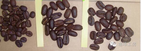 Mandheling Coffee Varieties