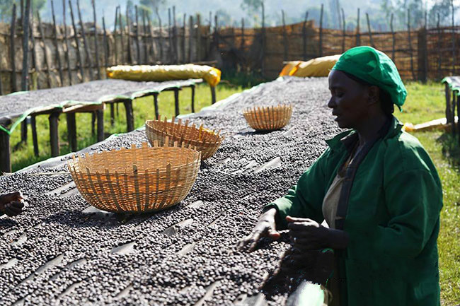 Professional barista exchange, please follow Coffee Workshop (WeChat public account cafe_style)