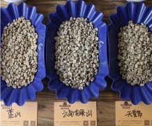 Jamaica Blue Mountain No.1 Coffee Flavor Profile & Taste Description | Where to Buy Authentic Blue Mountain Coffee Beans?