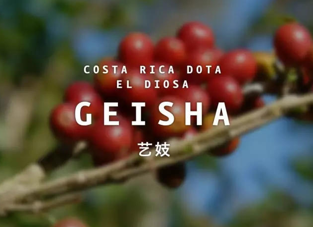 FrontStreet Coffee Panama La Esmeralda Red Label Geisha