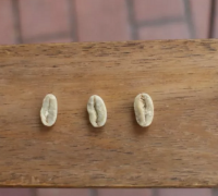 Geisha vs Yirgacheffe: The Distinctive Characteristics of Premium Yirgacheffe Coffee