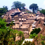 Indonesia Mandheling Arabica 