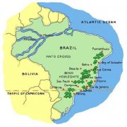 Budget-Friendly Brazilian Coffee Entry Choice: Brazil Cerrado Yellow Bourbon Coffee Perfect for Beginners