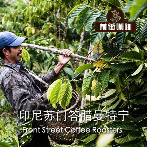 Purchase premium Indonesian Sumatra Mandheling coffee beans