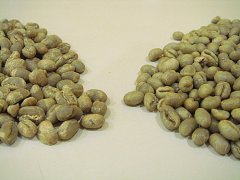 Flavor Characteristics of Chelelektu Processing Station Coffee Beans from Ethiopia's Yirgacheffe Coffee Region