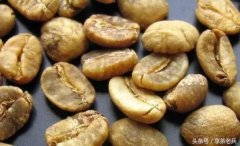 Characteristics of Aged Mandheling Coffee Beans Preserved for Over a Decade - A Cross-Century Sumatran Coffee Bean Story