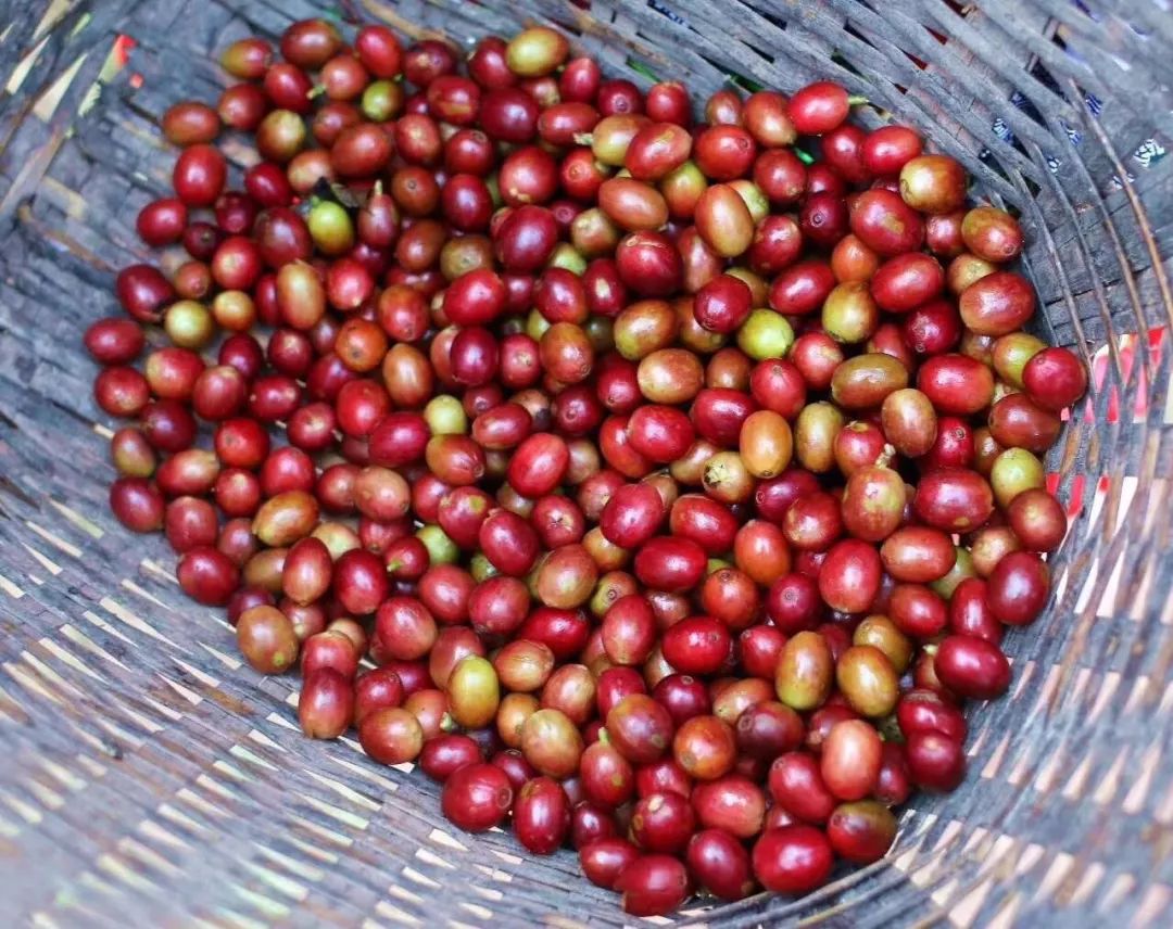 Hawaiian coffee regions