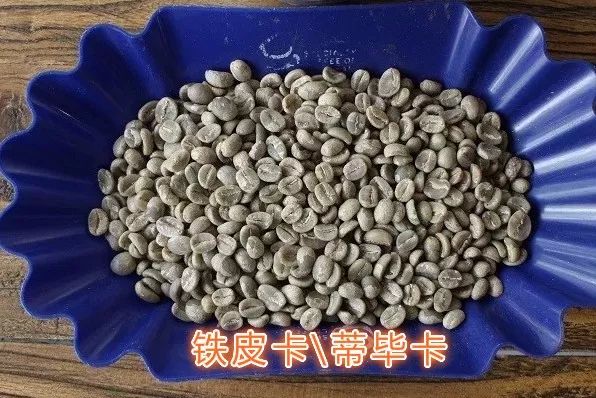 Papua New Guinea coffee beans