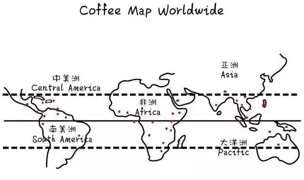 Specialty coffee flavors