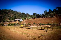 Yirgacheffe Kebel Aricha - The Proper Way to Enjoy Yirgacheffe Coffee