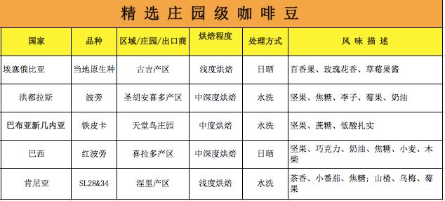 FrontStreet Coffee Drip Bag Details