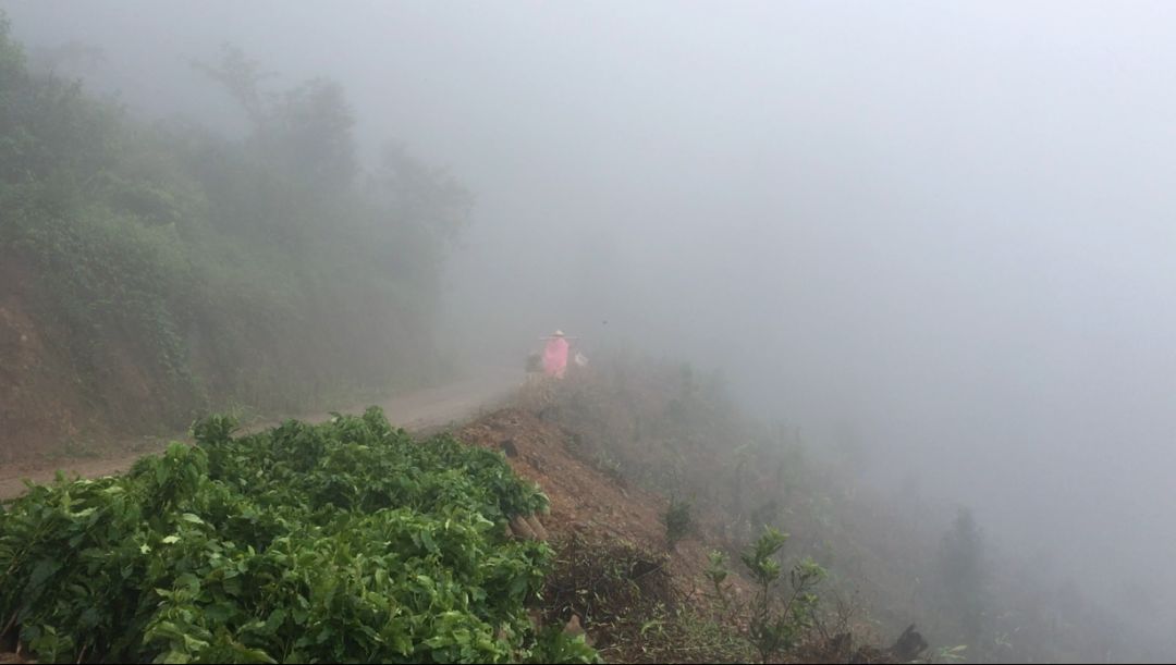 [Yunnan Coffee Origin Program] Why Does FrontStreet Coffee Choose This Most Difficult Path?