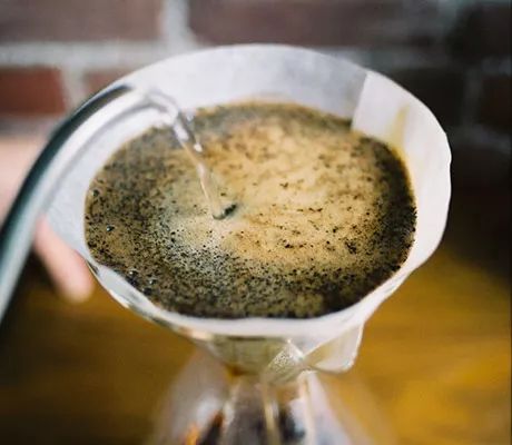 Coffee knowledge illustration