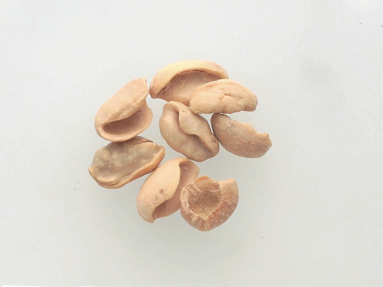 Shell beans and cracked beans