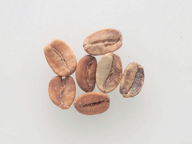 Fermented coffee beans