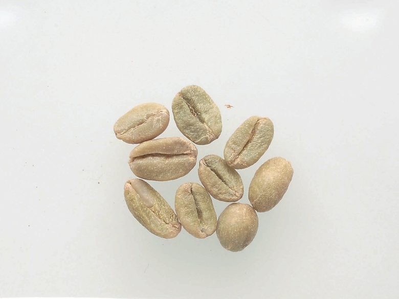 Unripe coffee beans