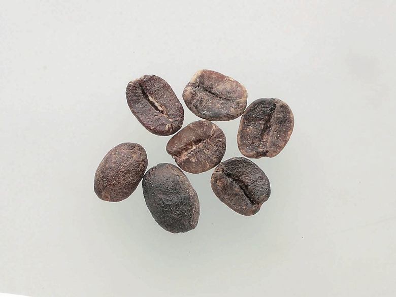 Black coffee beans